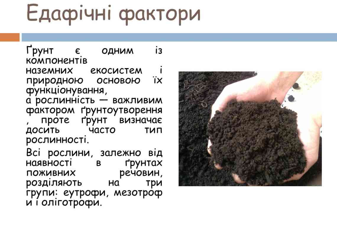 Фактори, що впливають на величину прибутку. Зовнішні та внутрішні фактори