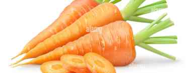 Нахабна морквина листка