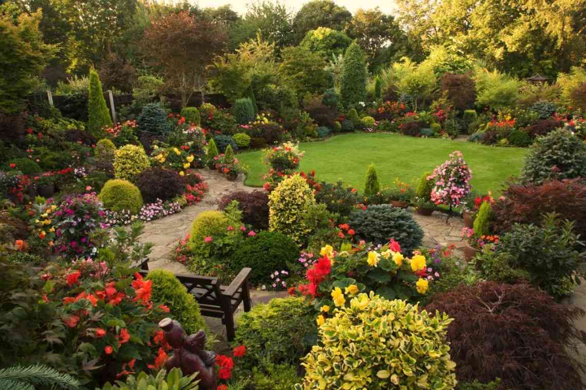 Які чагарники прикрасять сад восени?