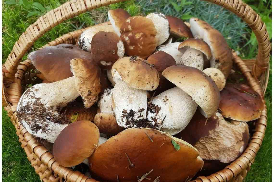 Комфорт для грибів