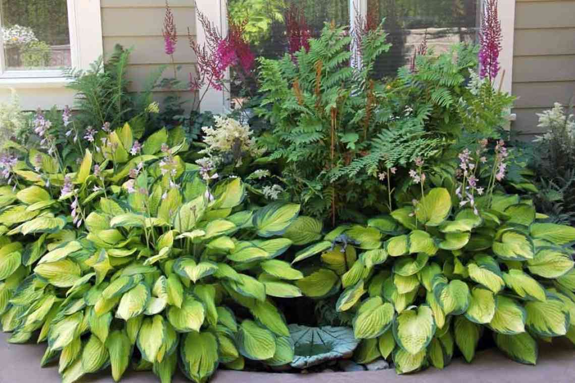 Невибагливі рослини для дому і саду