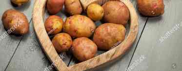 Особливості картоплі