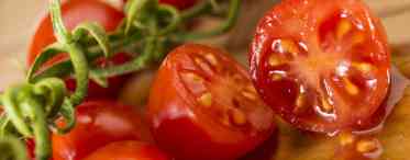 Збираємо насіння томатів - що потрібно знати