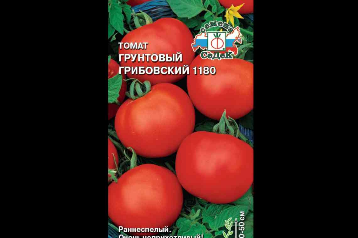 Характеристика томатів сорту Снігур