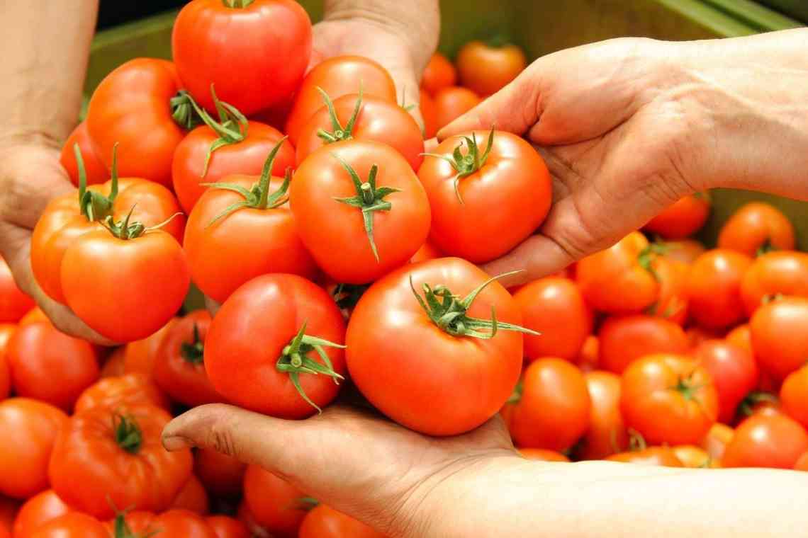 Характеристика сорту томатів Перцівидний гігант