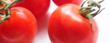 Користь і шкода помідорів