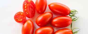 Сорти томатів Сливка