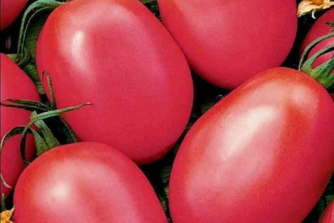 Опис сорти томатів Абаканський рожевий