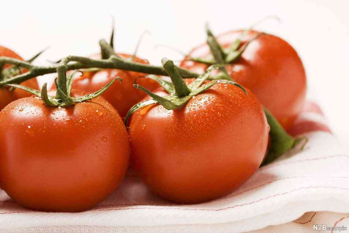 Як можна зберегти помідори свіжими