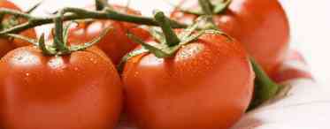 Як можна зберегти помідори свіжими