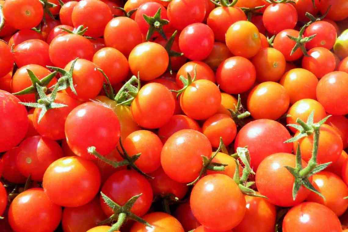 Особливості окучування помідор