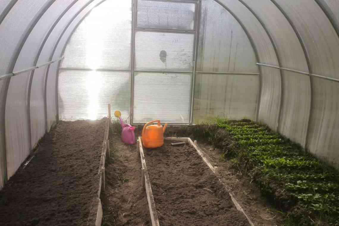 Підготовка землесмесей і ґрунту в теплиці під помідори