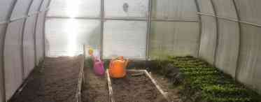 Підготовка землесмесей і ґрунту в теплиці під помідори