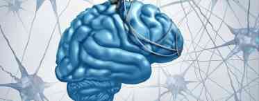 Тренування для розуму: як натренувати мозок