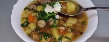 Суп з вішенками і сиром: рецепти з картоплею і куркою