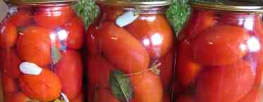 Консервовані зелені помідори: рецепти на зиму