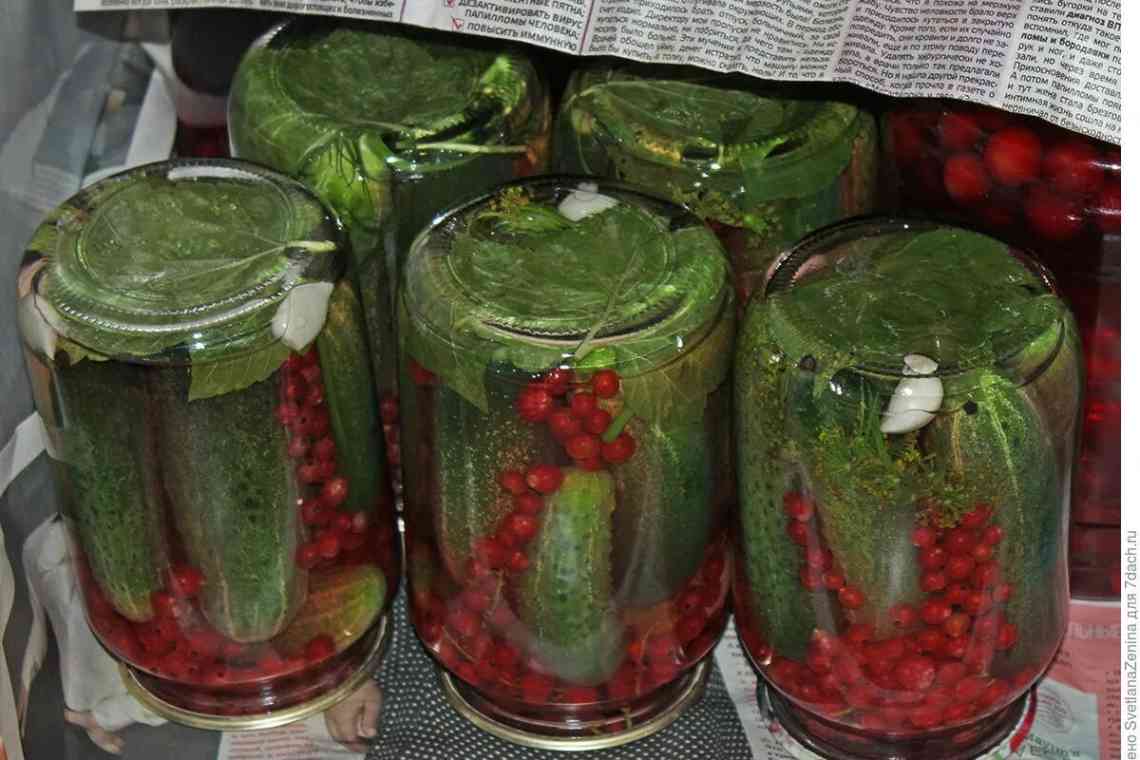 Огірки з червоною смородиною на зиму: рецепти з оцтом і без