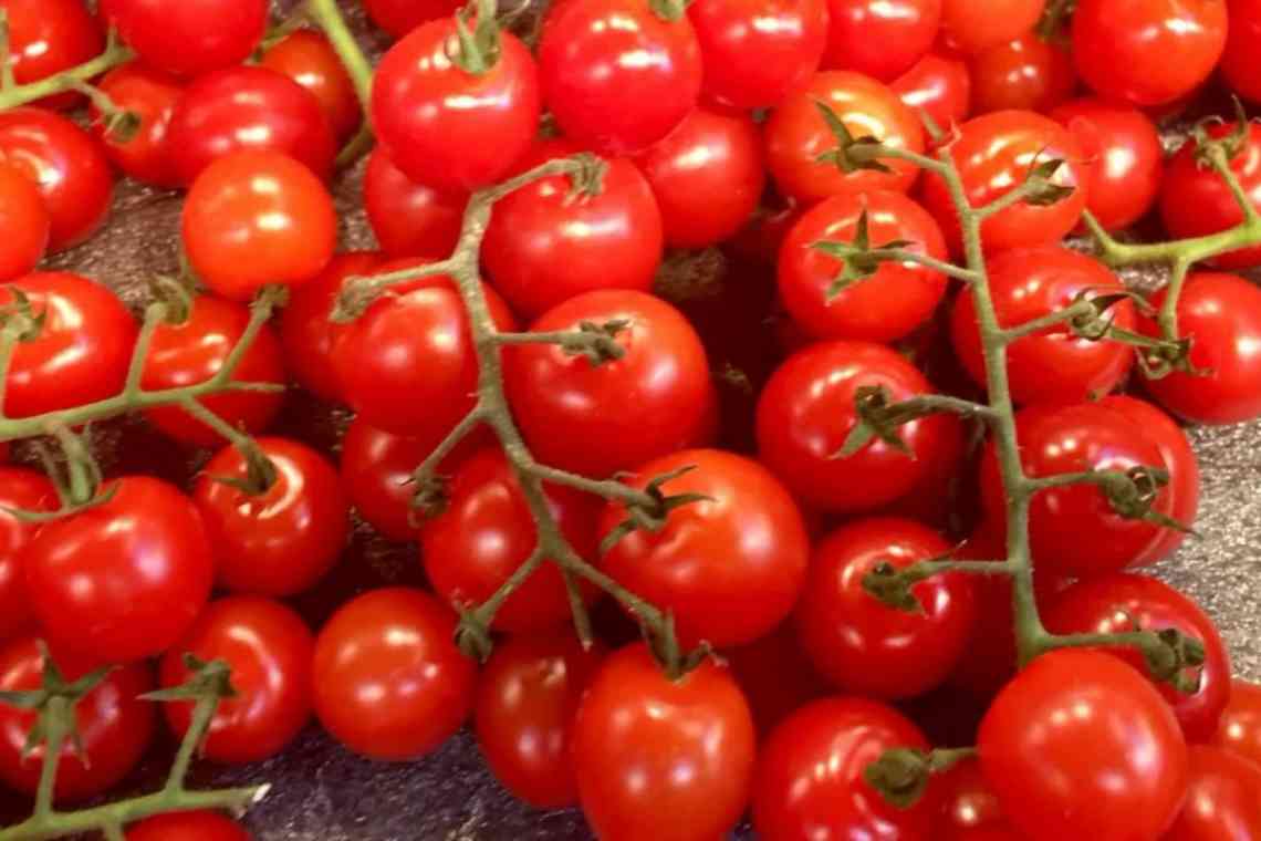 Як самостійно заготовити насіння томатів самостійно. Як заготувати насіння помідорів