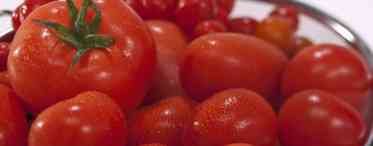 Чому всередині помідори білі всередині. Чому у плодів томатів утворюються білі прожилки всередині