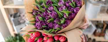 Що символізує букет тюльпанів?