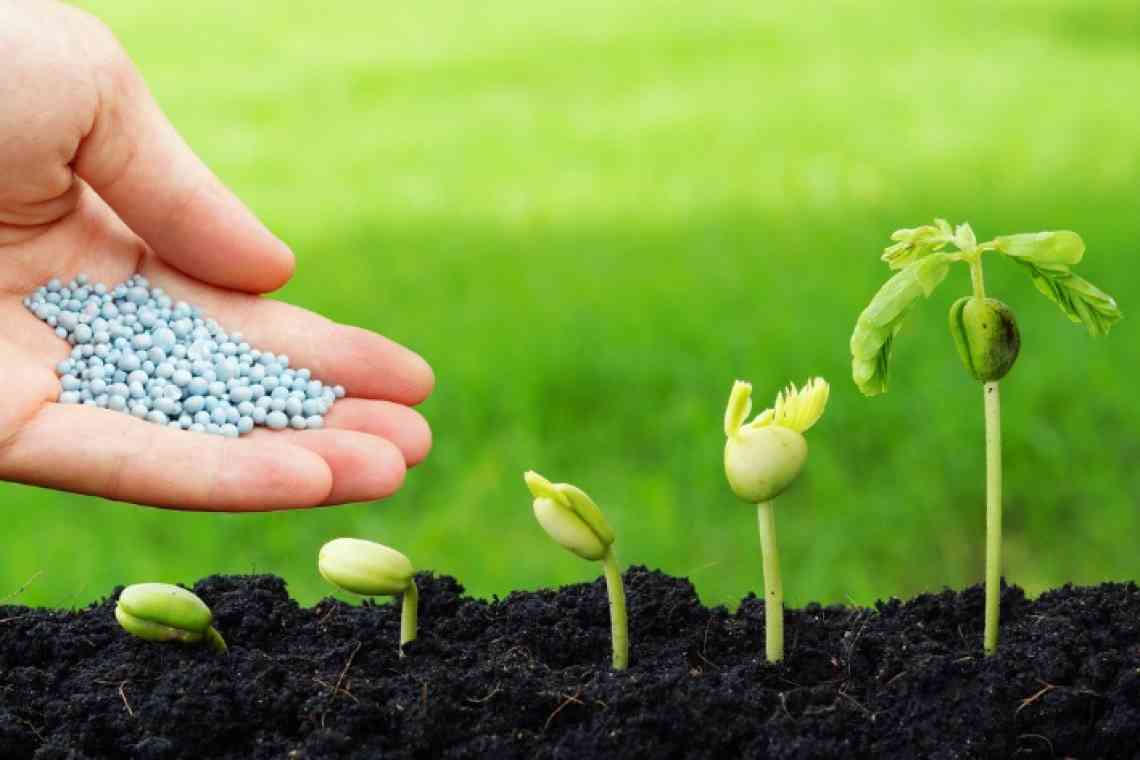 Питательные вещества для растений: разбираемся в видах удобрений