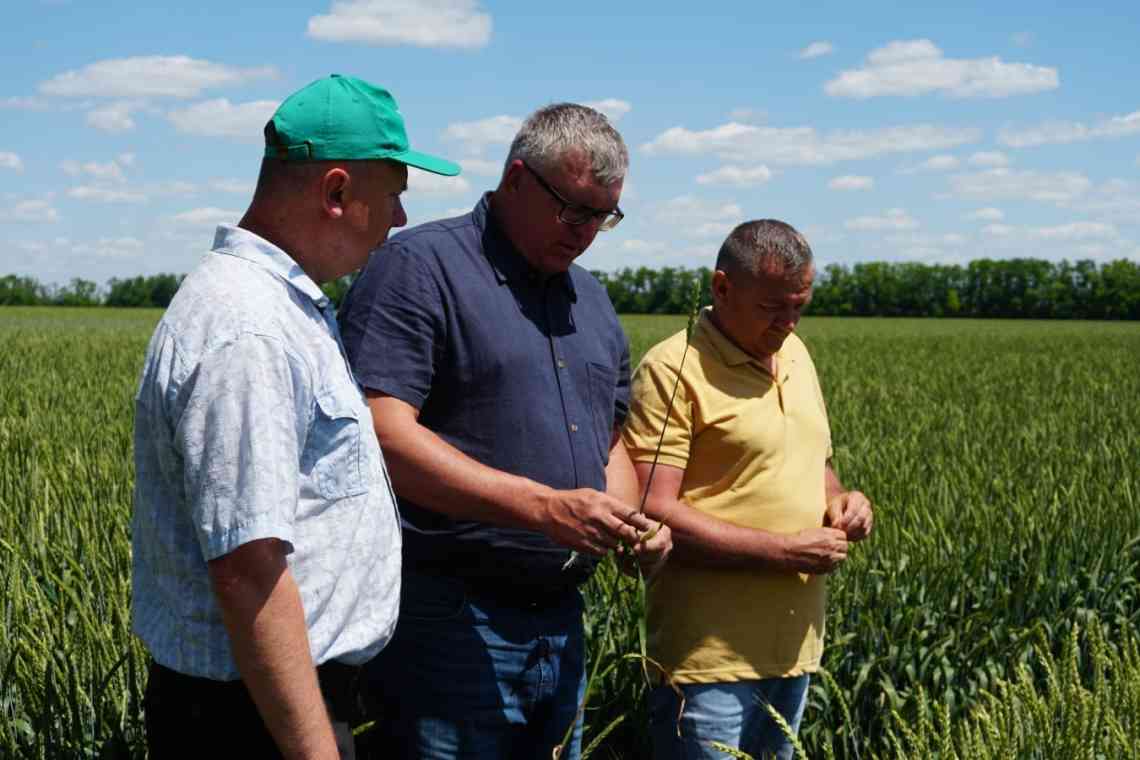 За 7 років кількість фермерів в Україні скоротилася на 10 тисяч